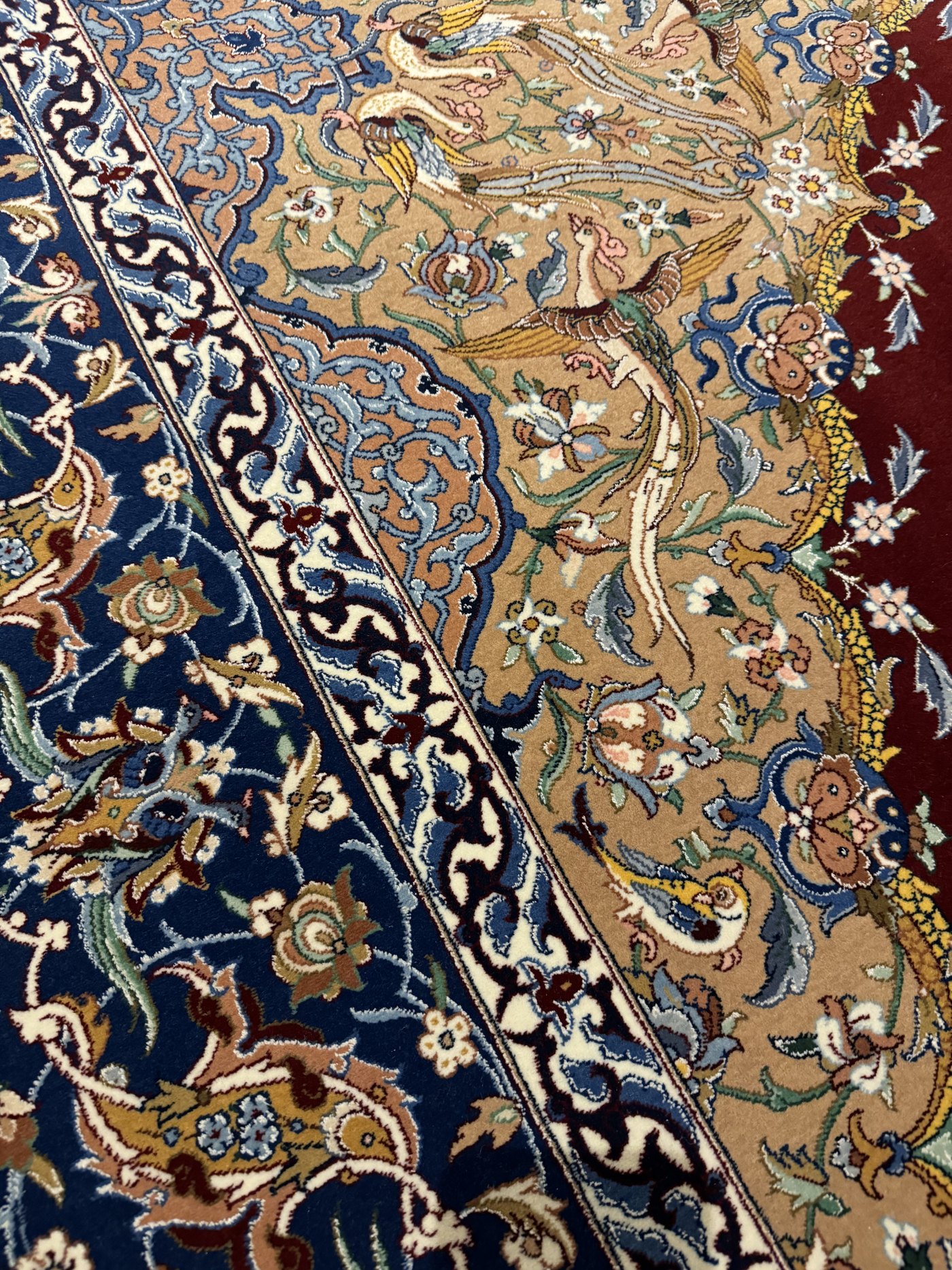 The border system at a low angle, the navy floral band and ivory guard meeting the bird-filled corner, the silk pile catching the light.